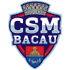 SC Bacau logo