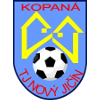 Novy Jicin logo