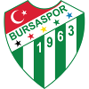 Bursaspor U19 logo