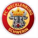 FC Mecklenburg Schwerin logo