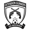 Extension Gunners logo