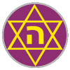 Hakoach Macabi Ramat Gan U19 logo