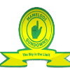 Mamelodi Sundowns Reserves logo