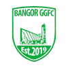 Bangor Celtic logo