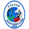 Montebelluna logo