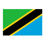 Tanzania Beach Football Team logo