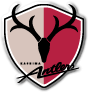 Kashima Antlers (R) logo