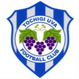 Ohira Tochigi UVA SC logo