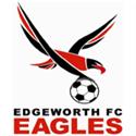 Edgeworth Eagles FC logo