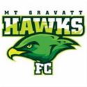 Mount Gravatt Hawks logo