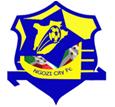 Ngozi City FC logo