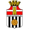 Peinsa F.S. Cartagena Futsal logo