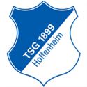 Hoffenheim U17 logo