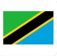Tanzania (W) logo