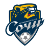 FK Sochi logo