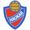 Haukar U19 logo