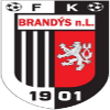 Brandys Nad Labem logo