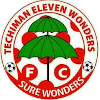 Techiman Eleven Wonders logo
