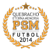 Puerto San Martin Futbol logo