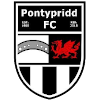 Pontypridd logo