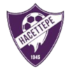 Hacettepe 1945 logo
