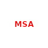 MSA FC logo