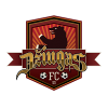 FK Dziugas Telsiai II logo