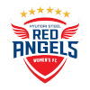 Hyundai Steel Red Angels (W) logo