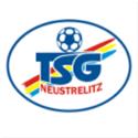 TSG Neustrelitz logo