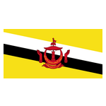 Brunei Darussalam logo