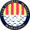CE Seagull  (W) logo