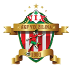 SKF Zilina  (W) logo