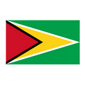 Guyana (W) U20 logo