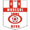 Muresul Deva logo