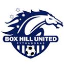 Box Hill (W) logo