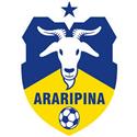 Araripina PE logo