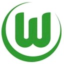 VfL Wolfsburg (Youth) logo