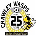Crawley Wasps (W) logo