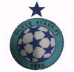 Silver Stars FC U19 logo