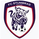Stumbras II logo