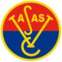VasasU21 logo