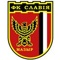 Slavia Mozyr Reserve logo