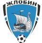 FK Zhlobin logo