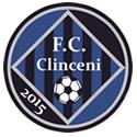 Academica Clinceni logo