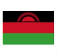 Malawi  (W) logo