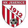 NK Jesenice logo
