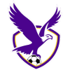 Boroondara Eagles (W) logo