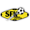Steinkjer U19 logo