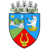 CS Municipal Lugoj logo
