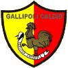 Gallipoli logo